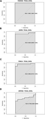 RNA-binding protein transcripts as potential biomarkers for detecting Primary Sclerosing Cholangitis and for predicting its progression to Cholangiocarcinoma